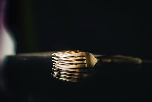 Composition des fourches - dos