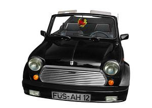 Mini Lamm Cabrio