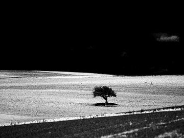 LONELY sur JORG BECKER