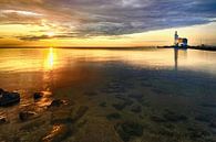 Horse of Marken at sunrise by John Leeninga thumbnail