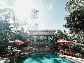 Piscine rétro avec palmiers sur Kimberley Jekel