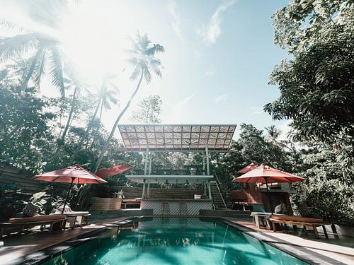 Piscine rétro avec palmiers