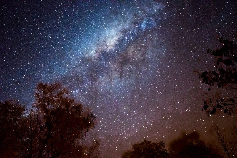 Milchstraße | Helle Nacht in Botswana von Suzanne Spijkers