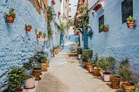 Straatje in Chefchaouen, het blauwe stadje van Marokko