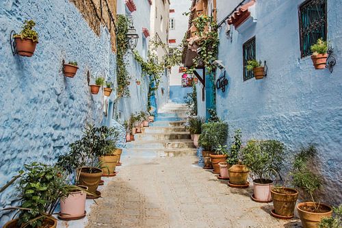 Rue de Chefchaouen, la ville bleue du Maroc
