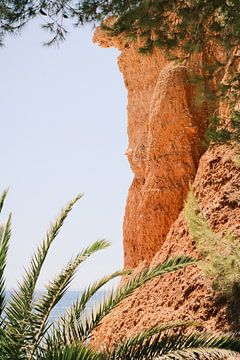 Rode rots, Palm en de Middellandse Zee in Ibiza // Reisfotografie van Diana van Neck Photography