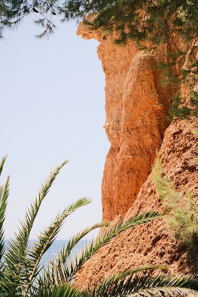 Roche rouge, palmiers et mer Méditerranée à Ibiza // Photographie de voyage par Diana van Neck Photography