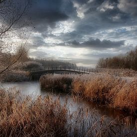 Niederländische Landschaft mit Wolken. von Robert Jan Smit
