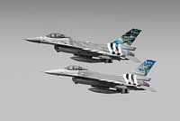 Belgian F-16 Fighting Falcons color cutout