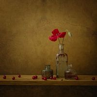 Poppy with red berries