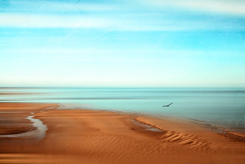 Marée basse - Normandie - France par Dirk Wüstenhagen