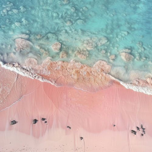 A bird's eye view of the pink sandy beach