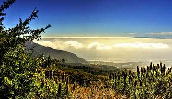 Natuur op TENERIFE    prachtige wildgroei horizon met helder blauwe lucht en bewolking