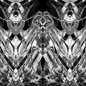 BLACK & WHITE CURIOSITY 