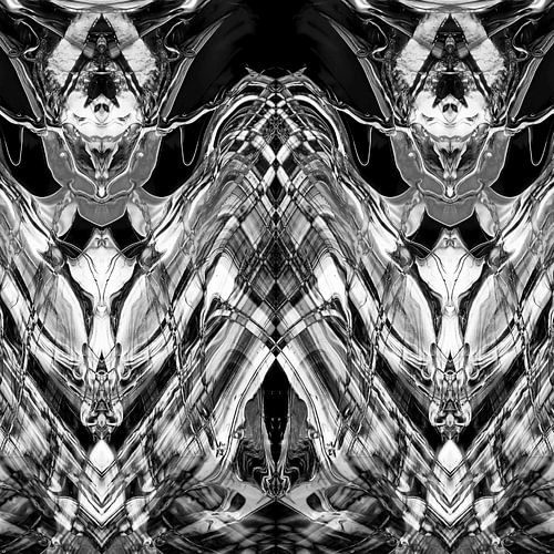 BLACK & WHITE CURIOSITY 