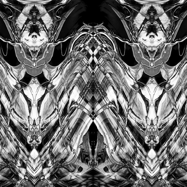 BLACK &amp; WHITE CURIOSITY  par Pia Schneider