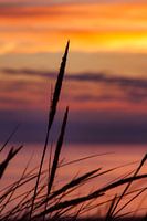 Zonsondergang aan het strand