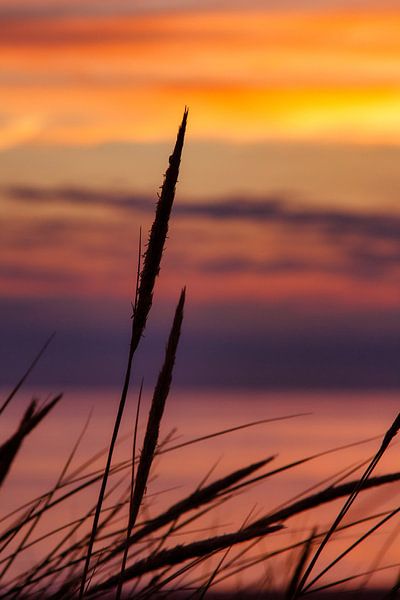 Zonsondergang aan het strand van Dennis Schaefer