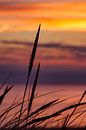 Zonsondergang aan het strand van Dennis Schaefer thumbnail