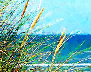 Strandhafer II
