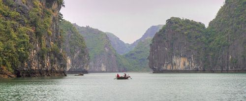 Le poisson devrait être juste ici