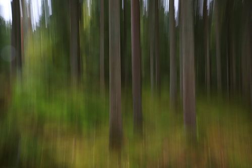 Abstrakte Waldstimmung