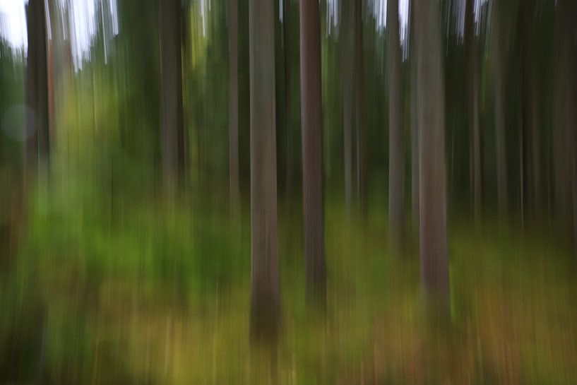 Abstrakte Waldstimmung par Heike Hultsch