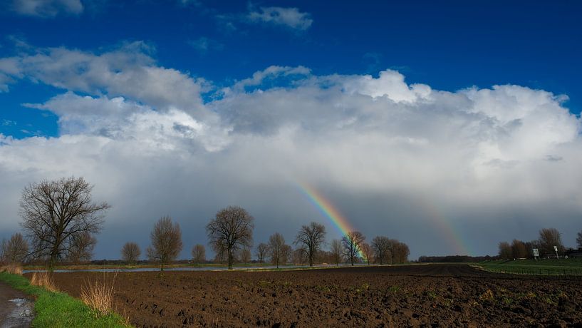 Regenboog van Lex Schulte