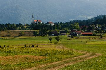 Une des nombreuses églises de Slovénie sur le chemin de la vallée de Logar sur Paul van Putten