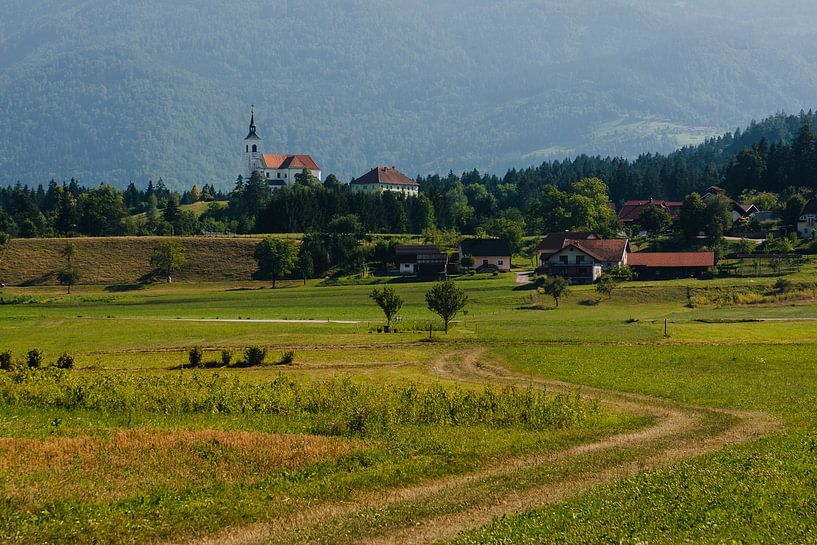One of many churches in Slovenia on the way to Logar Valley by Paul van Putten