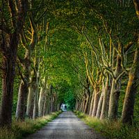 Halder/ Haanwijk