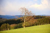 Landschaftszeiten