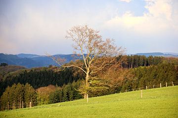 Landschaftszeiten van Ulrich Fuchs