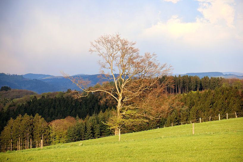 Landschaftszeiten par Ulrich Fuchs