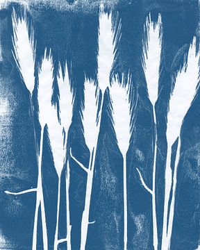Des brins d'herbe en blanc et bleu. Monoprint botanique sur Dina Dankers