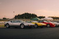 Die Tomaso's in der Abendsonne