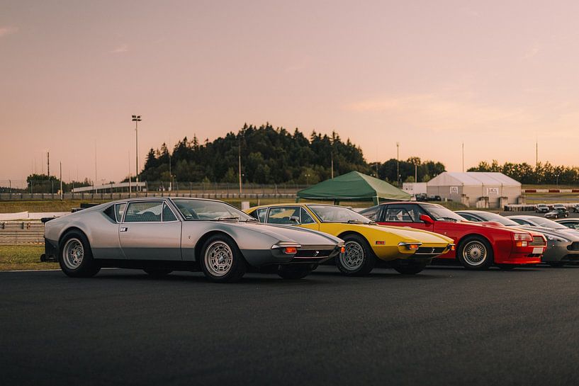 Die Tomaso&#039;s in der Abendsonne von avwijk.visuals
