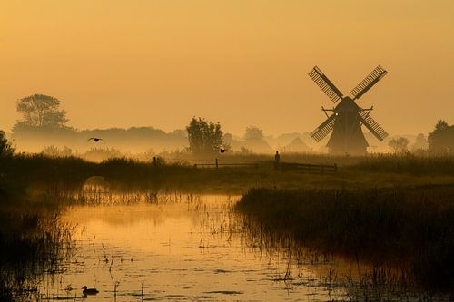 Nederlands poldermolen in het gouden licht van de vroege ochtend