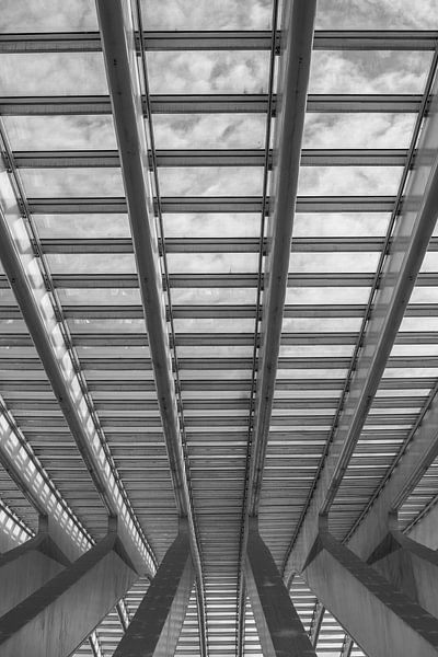 &quot;Station Liège - Guillemins - Swallowed Up By Lines 2. &quot; par AvrieVision I Annemarie Vriends