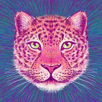 Tiergesicht Leopard