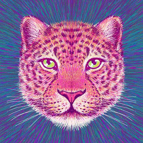 Animal Face   Leopard