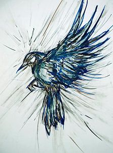 Vue à vol d'oiseau. Oiseau ( 10 )