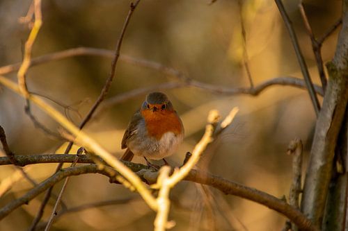 At the end of the crossroads