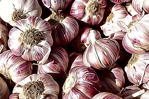 Knoflook strip ART 3.0