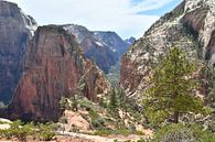 Zion National Park, Angels Landing by Bernard van Zwol thumbnail