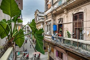 Cuba, La Havane sur Paula Romein