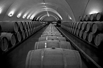 Die Philosophie des guten Weingeschmacks  von Silva Wischeropp