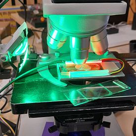 Joop de Wolde profielfoto