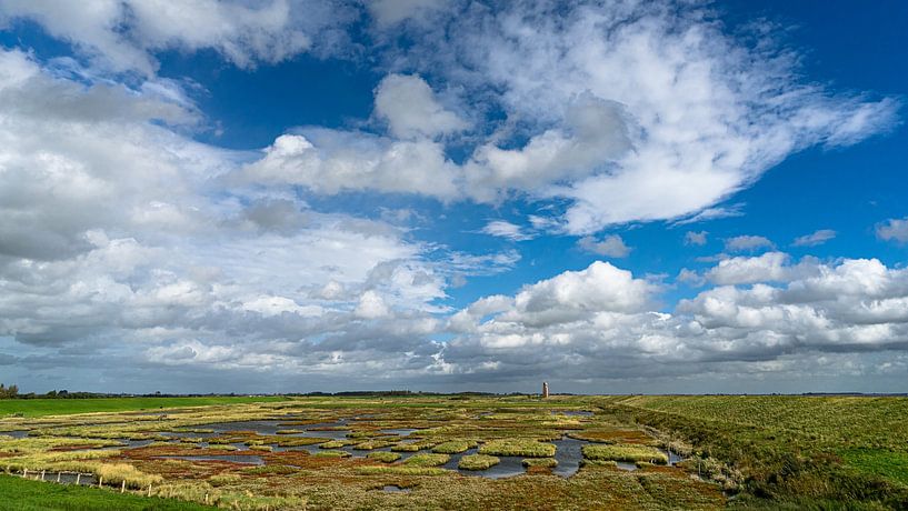Vue du Plompetoren près de Burgh-Haamstede par Floris van Woudenberg