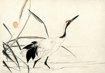 Oiseau au bord du lac sur Mad Dog Art